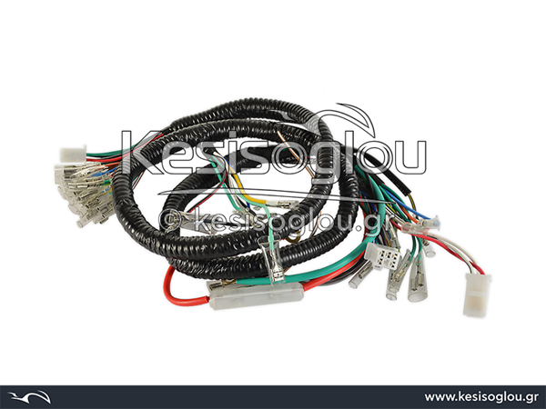 watermark