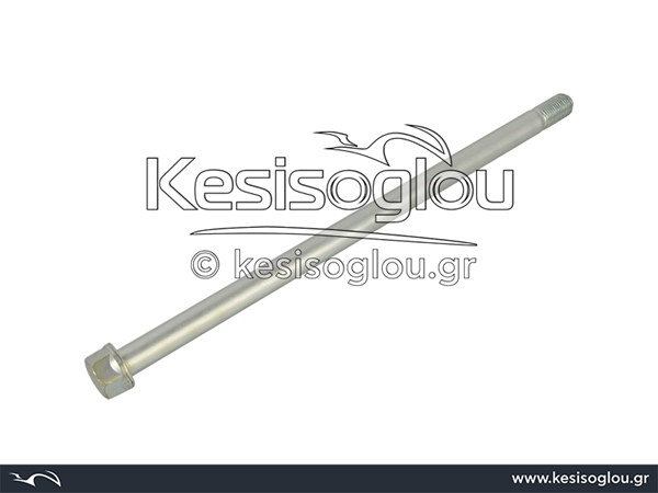 watermark