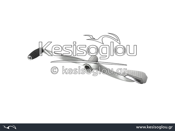 watermark