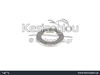 watermark
