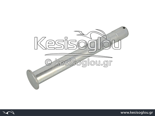 watermark