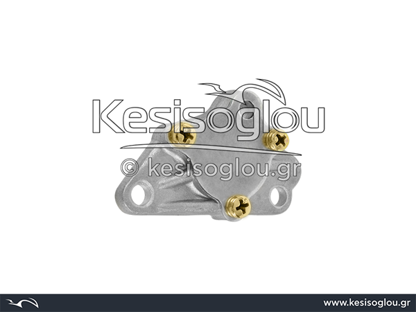 watermark