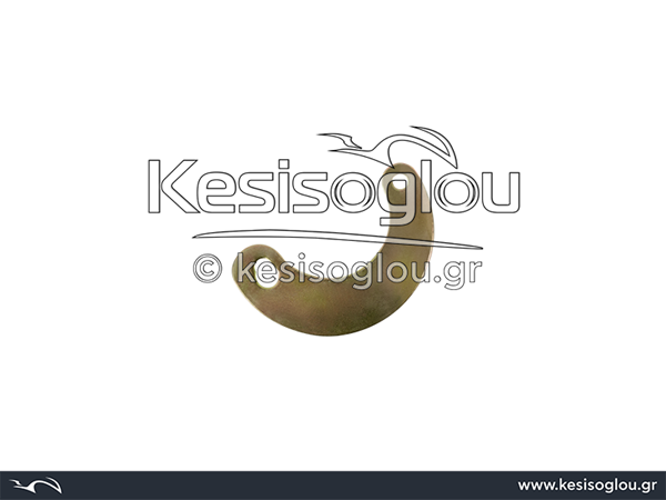 watermark