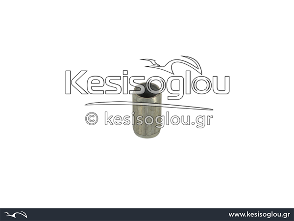 watermark