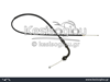 watermark