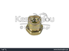 watermark