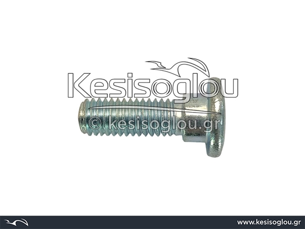 watermark
