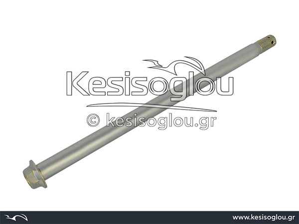 watermark