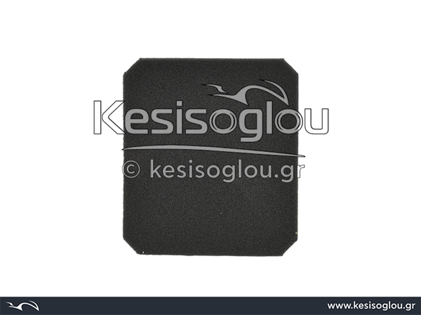 watermark