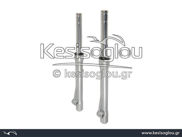 watermark