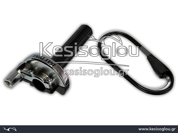 watermark