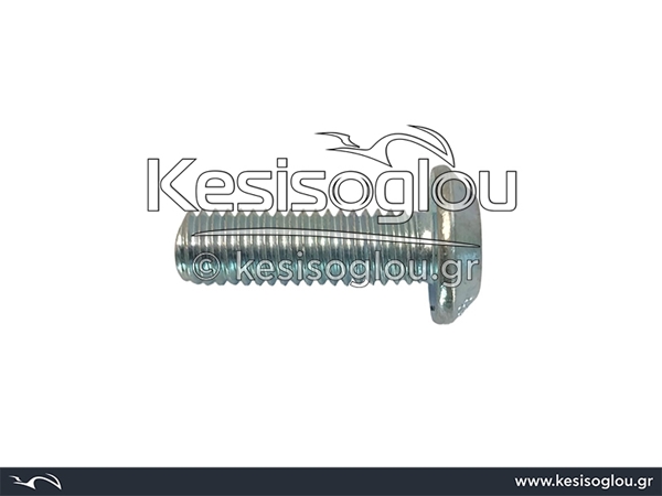 watermark