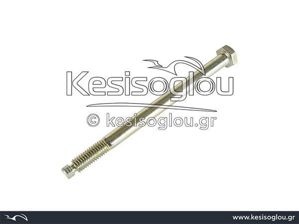 watermark