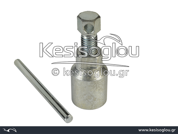 watermark