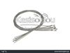 watermark