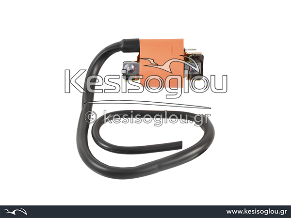 watermark