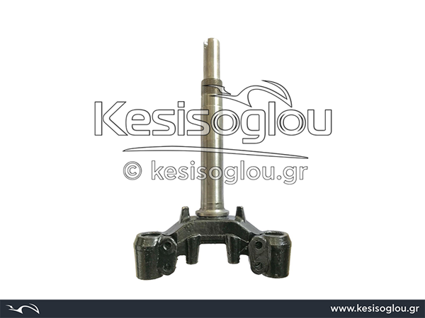watermark