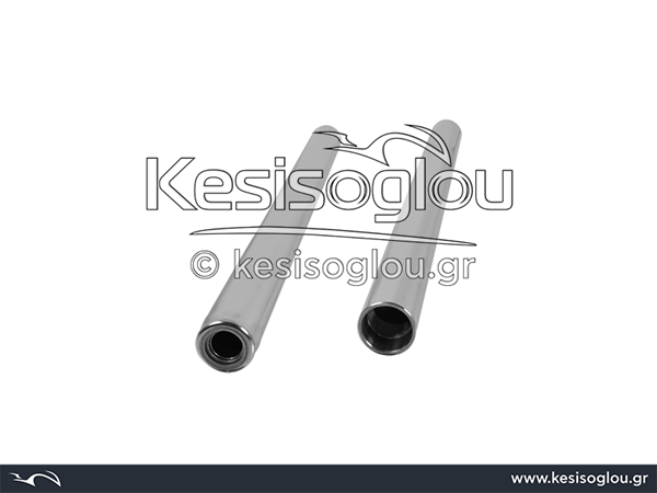 watermark