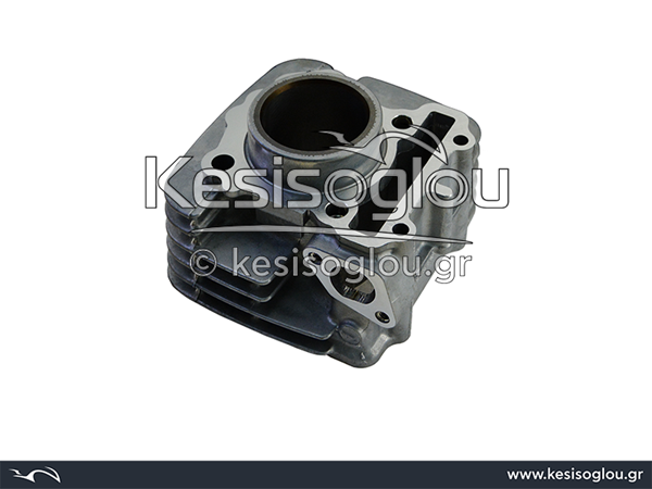 watermark