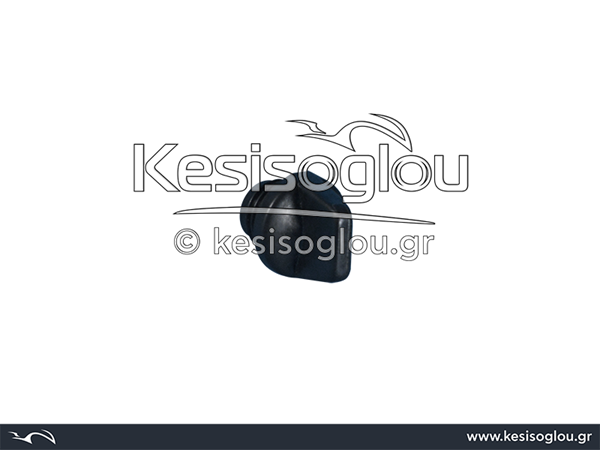 watermark