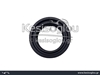 watermark