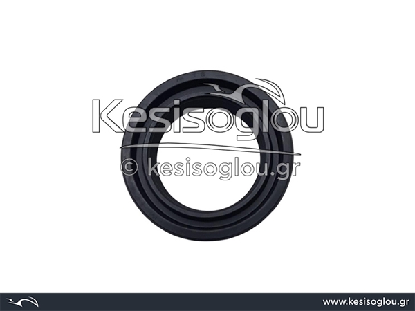 watermark