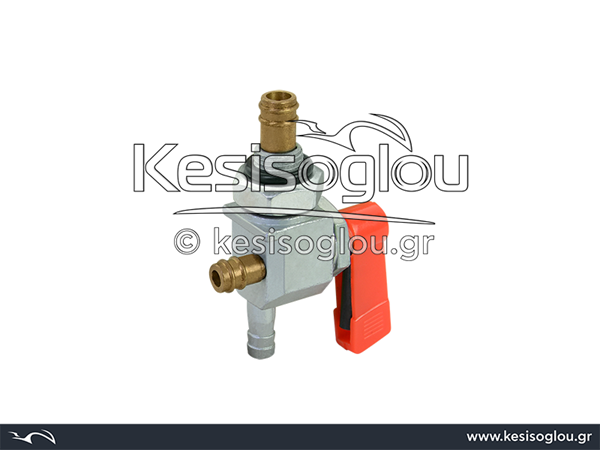 watermark