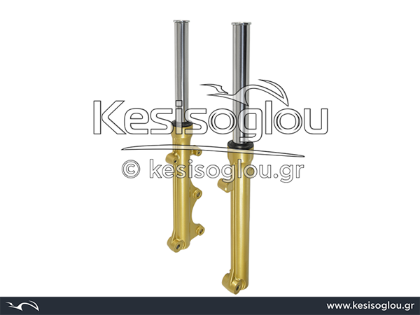 ΜΠΟΤΕΣ ΠΙΡ. (ΣΕΤ) (ΚΟΜΠΛΕ) CRYPTON-X (T135) ΧΡΥΣΕΣ