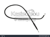 watermark