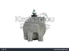 watermark