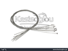 watermark
