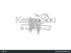watermark