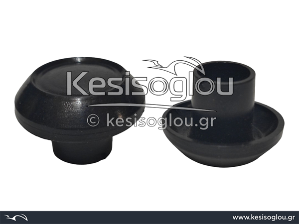 watermark