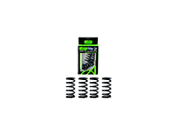 ΕΛΑΤΗΡΙΑ ΑΜΠΡΑΓΙΑΖ (ΣΕΤ) AJI RACING ASTREA