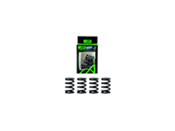 ΕΛΑΤΗΡΙΑ ΑΜΠΡΑΓΙΑΖ (ΣΕΤ) AJI RACING GTR-150