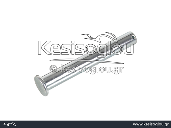 watermark