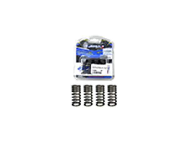 ΕΛΑΤΗΡΙΑ ΒΑΛΒΙΔΩΝ (ΣΕΤ) ΣΚΛΗΡΑ ATAKA RACING CRYPTON-X (T135) (2.8)